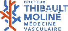 Thibault Moliné - Logo